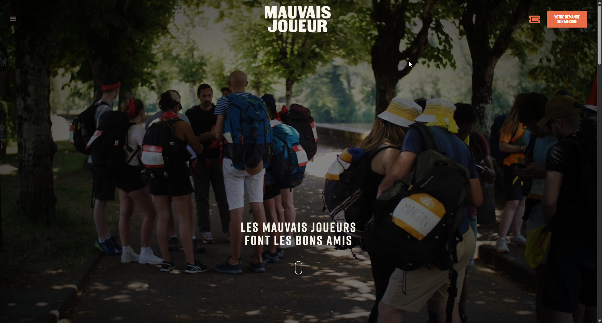 Aperçu du site MauvaisJoueur.net